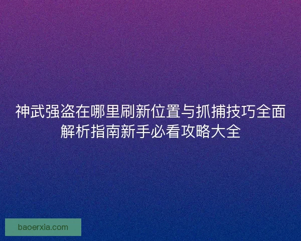 神武强盗在哪里刷新位置与抓捕技巧全面解析指南新手必看攻略大全